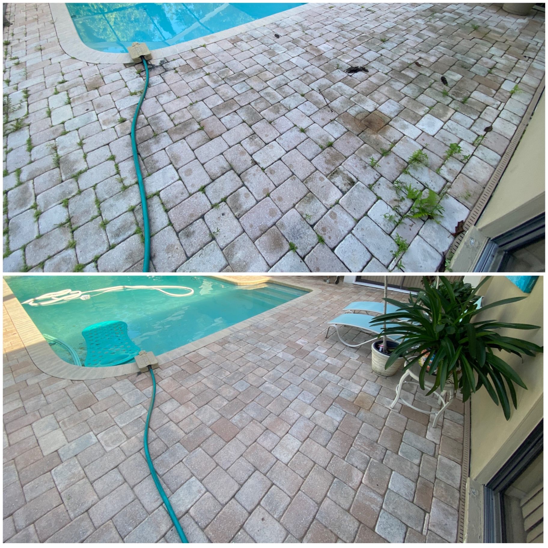 Before and after pool patio paver cleaning showing weeds and surface buildup removed.