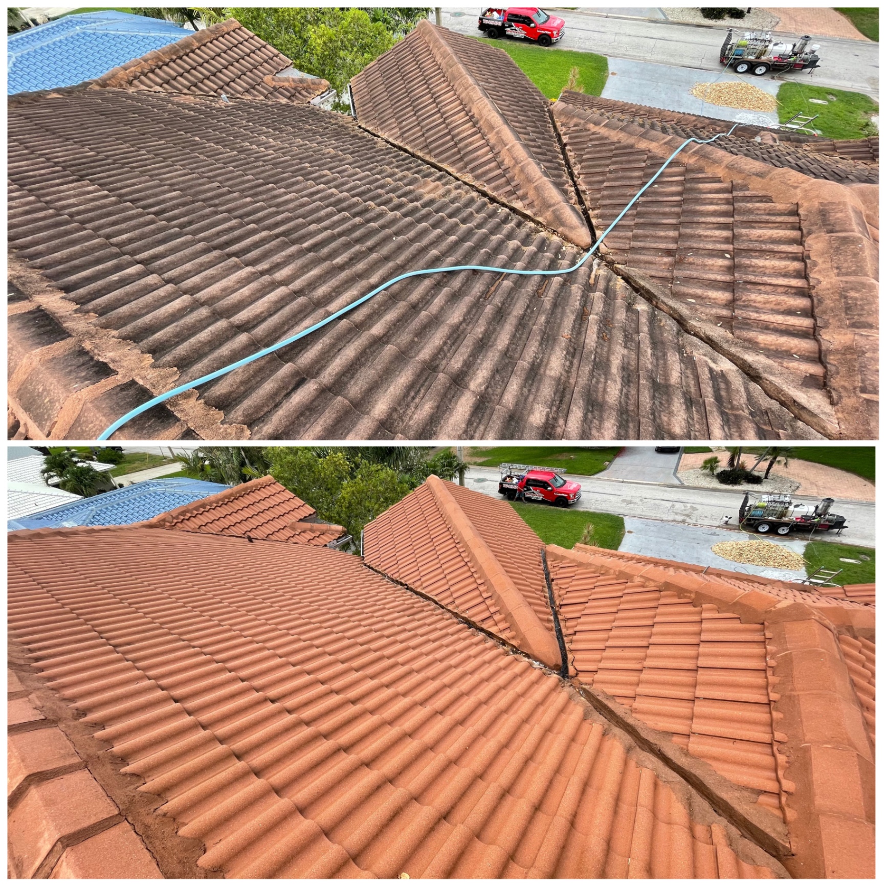 Close-up before and after soft-wash roof cleaning showing dark organic buildup removed from tile.