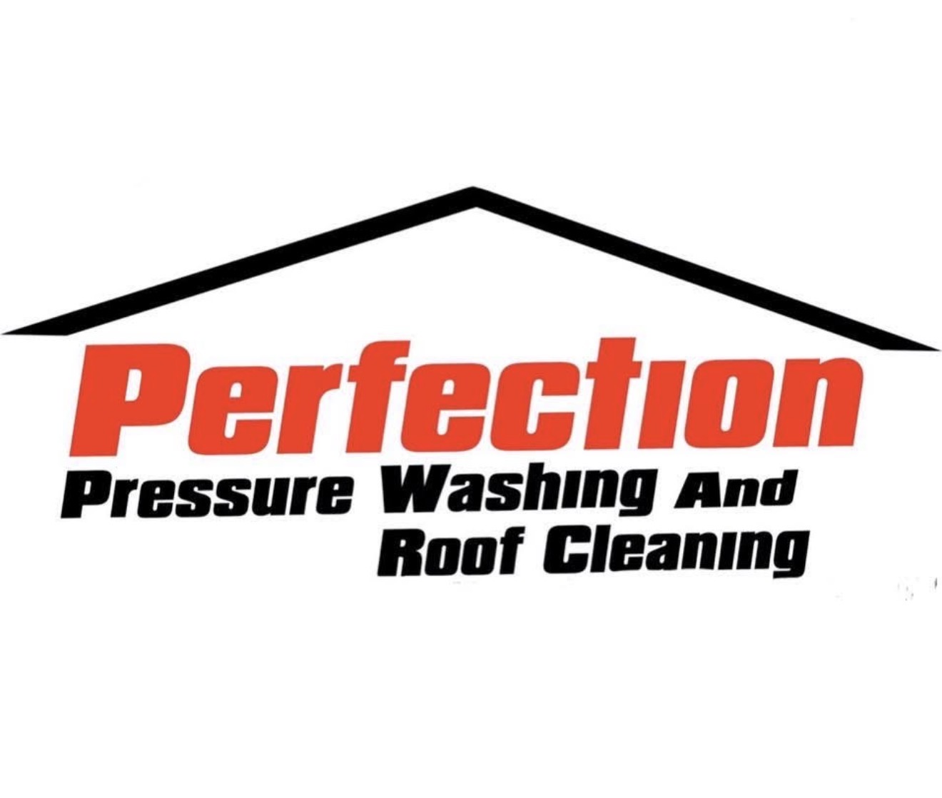 Perfection Pressure Washing and Roof Cleaning logo