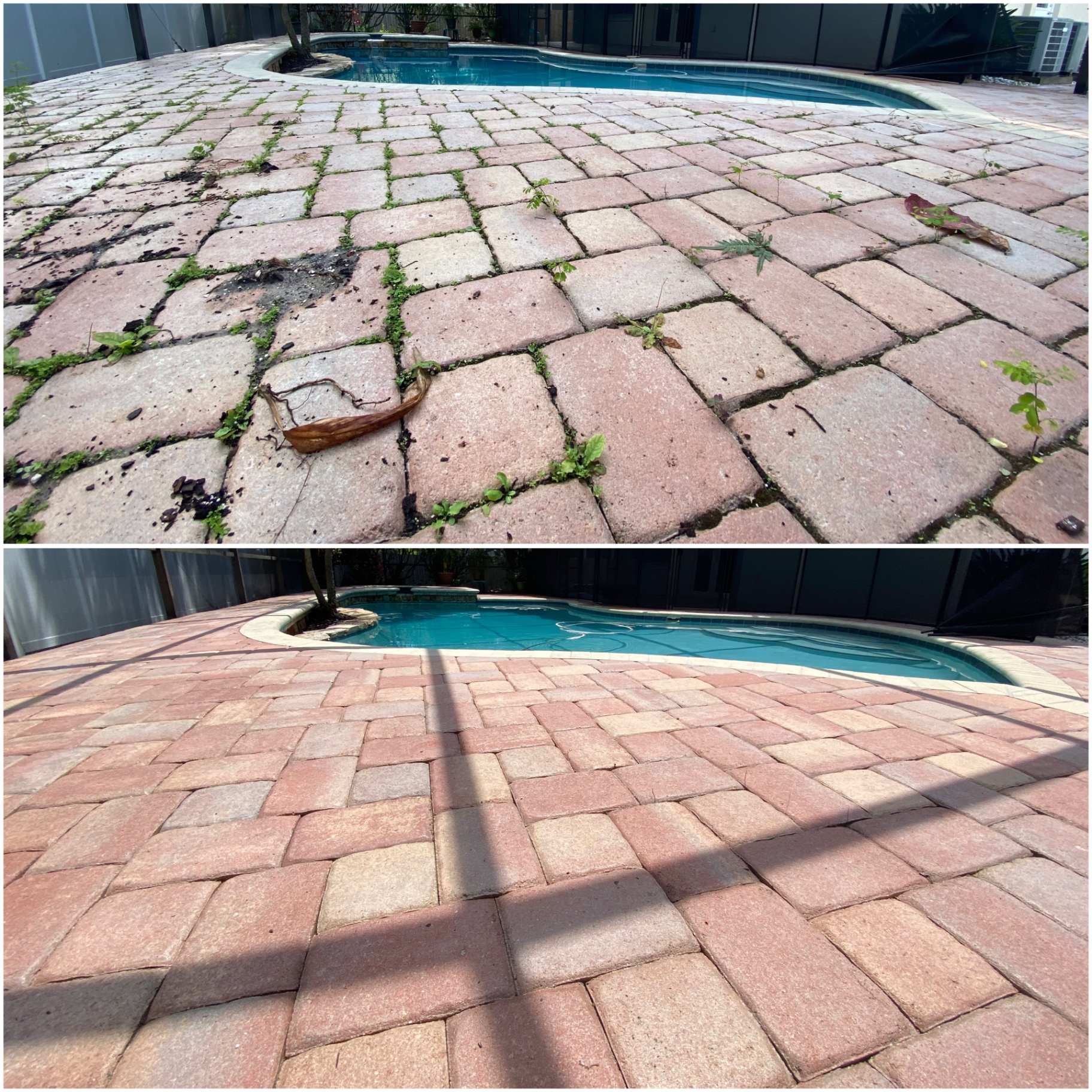 Before and after paver cleaning around a residential swimming pool, showing weeds and buildup removed.